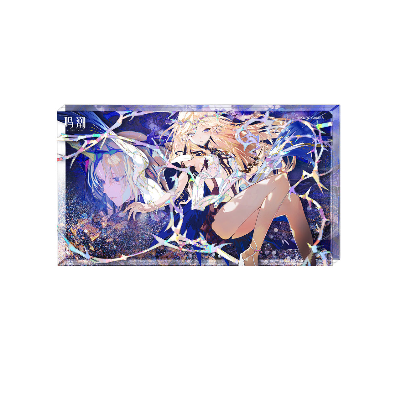【Pre-Order】Wuthering Waves - Against the Tides Themed Acrylic Quicksand Block