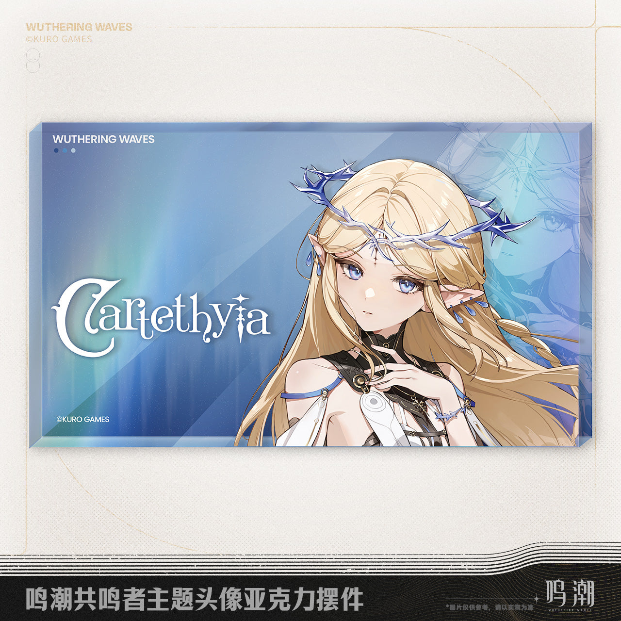 【Pre-Order】Wuthering Waves - Resonator Themed Avatar Acrylic Block Ver.2