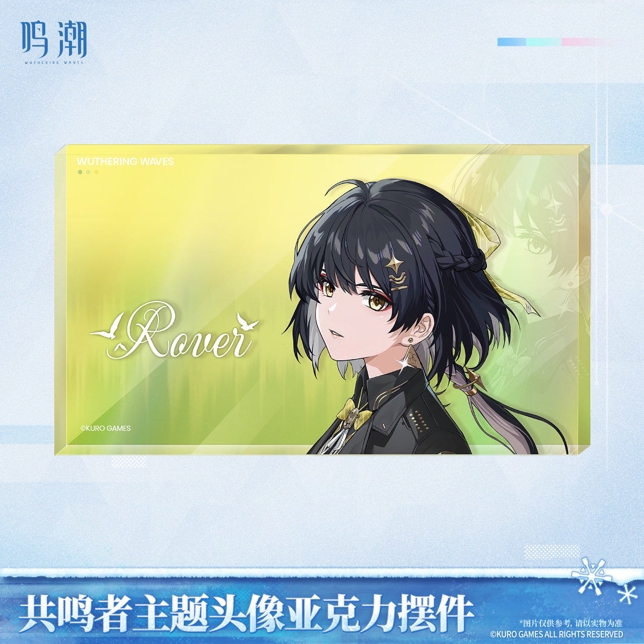 【Pre-Order】Wuthering Waves - Resonator Themed Avatar Reflective Badge Ver.6