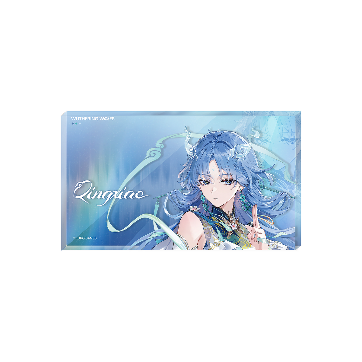 【Pre-Order】Wuthering Waves -Resonator Themed Avatar Acrylic Block Ver.11