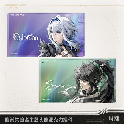 【Pre-Order】Wuthering Waves - Resonator Themed Avatar Acrylic Block
