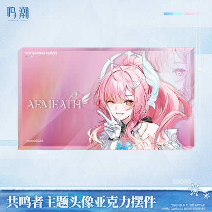 【Pre-Order】Wuthering Waves - Resonator Themed Avatar Reflective Badge Ver.6