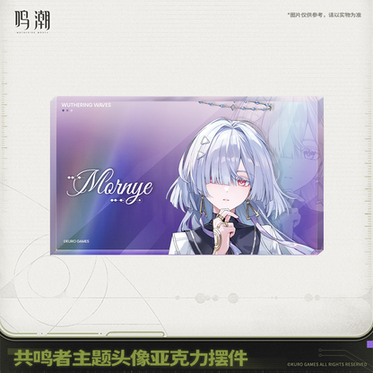 【Pre-Order】Wuthering Waves - Resonator Themed Avatar Acrylic Block Ver.5