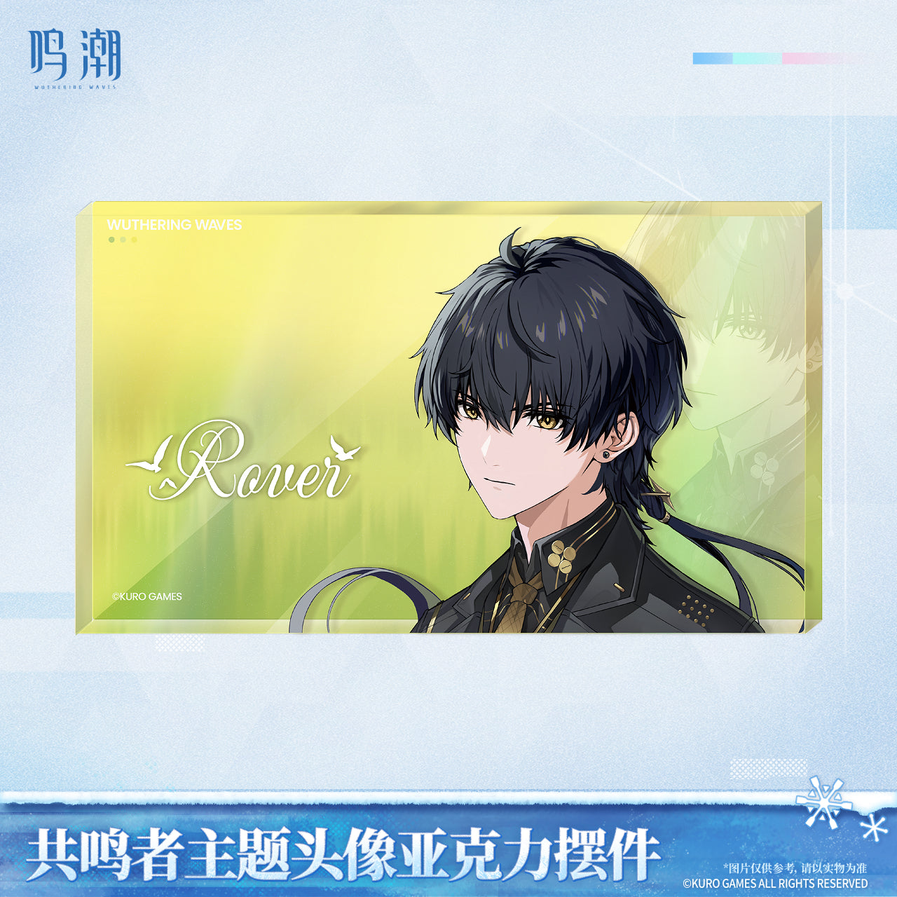 【Pre-Order】Wuthering Waves - Resonator Themed Avatar Reflective Badge Ver.6